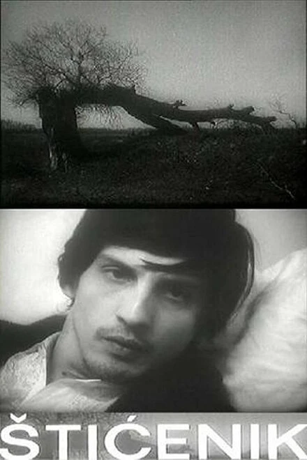 Постер Подопечный 1973