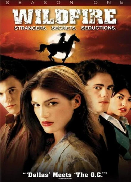 Постер Дикий огонь 2005