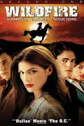 Дикий огонь 2005 постер