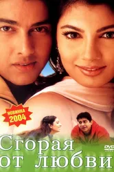 Сгорая от любви 2002 постер