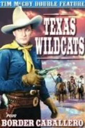 Texas Wildcats постер