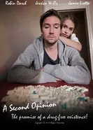 A Second Opinion 2014 постер