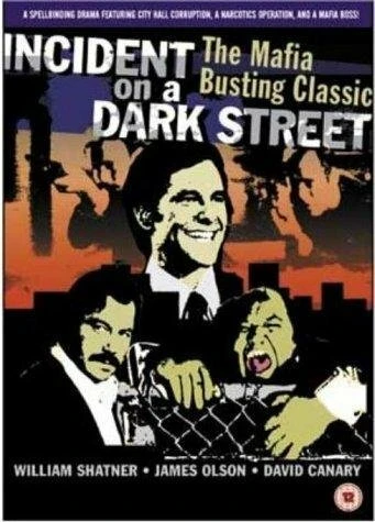 Постер Incident on a Dark Street