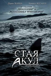 Стая акул 2008 постер