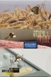 Проба на укус 2008 постер