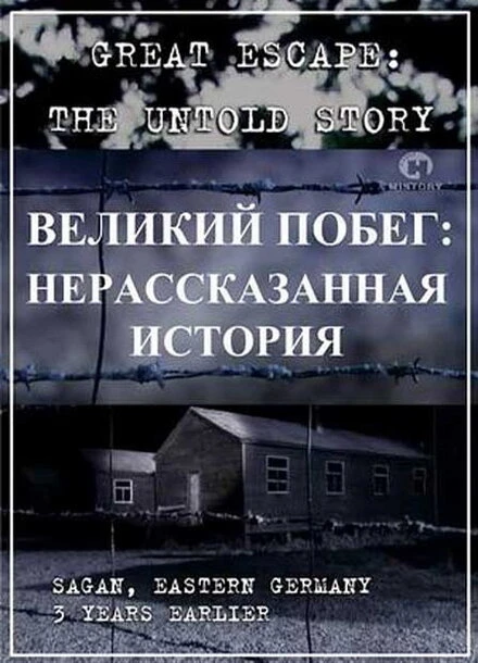 Постер Великий побег: Нерассказанная история 2001