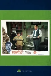 Accomplice 1946 постер