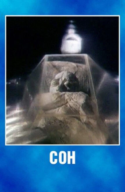 Постер Сон 1988