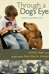 Through a Dog's Eyes постер