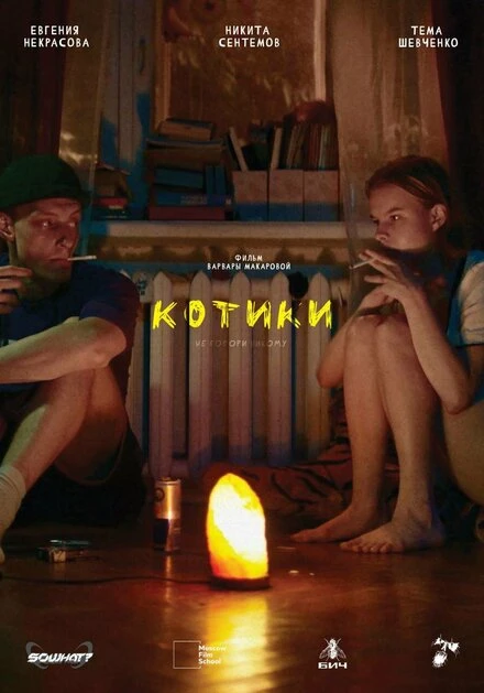 Постер Котики, Россия