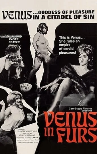 Постер Венера в мехах 1967