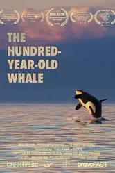 The Hundred Year Old Whale постер