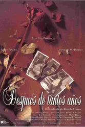 Después de tantos años постер