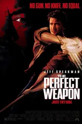 Совершенное оружие 1991 постер