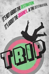 Trip 2013, США постер