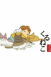 Кошачьи истории 2009 постер