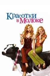 Красотки в молоке 2006 постер