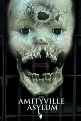 Психиатрическая больница Амитивилля 2013 постер