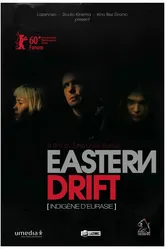 Евразиец 2009 постер