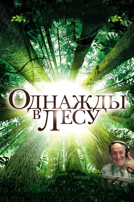 Постер Однажды в лесу 2013