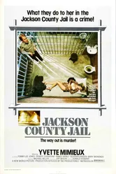 Тюрьма округа Джексон 1976 постер
