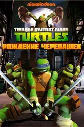 Черепашки-ниндзя 2012 постер