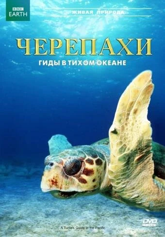 Постер Черепахи: Гиды в Тихом океане 2008
