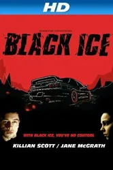 Black Ice 2013 постер