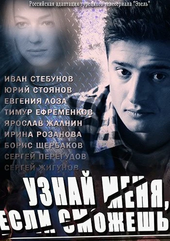 Постер Узнай меня, если сможешь 2014