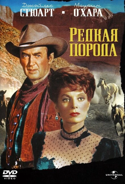 Постер Редкая порода 1966