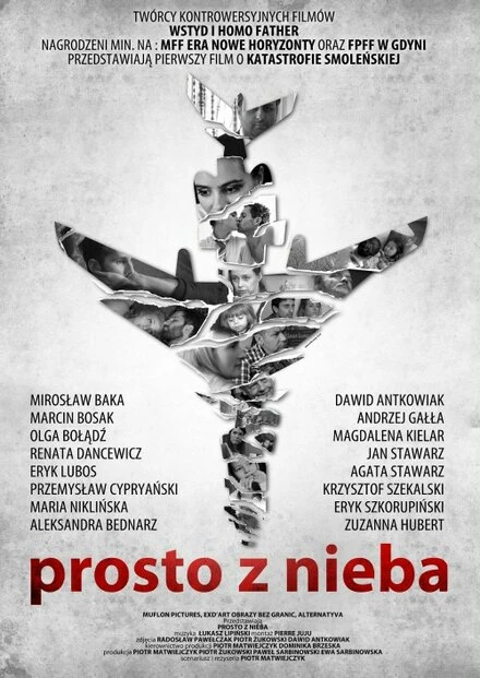 Постер Прямо с неба 2011