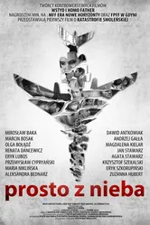 Прямо с неба 2011 постер