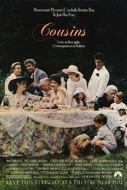 Постер Кузены 1989