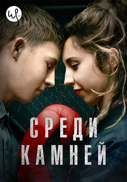 Постер Среди камней 2019