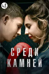 Среди камней 2019 постер