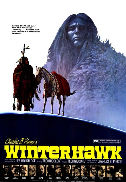 Постер Зимний ястреб 1975