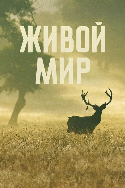 Постер Живой мир 2023