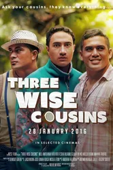 Three Wise Cousins постер