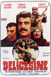 Сумасшествие 1976 постер