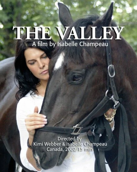 Постер The Valley 2008