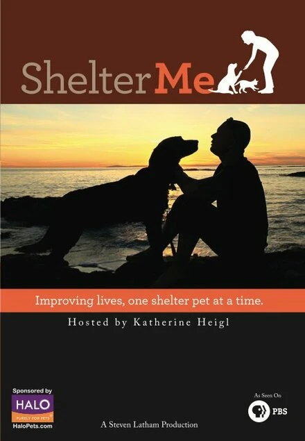 Постер Shelter Me 2012