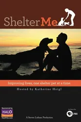 Shelter Me 2012 постер