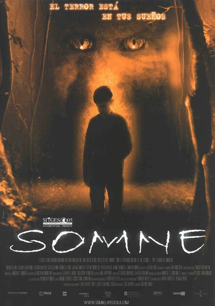 Постер Somne