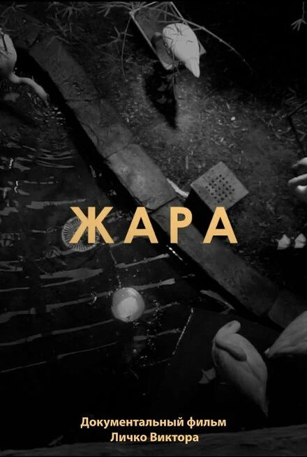 Постер Жара 2021