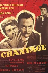 Шантаж 1955 постер