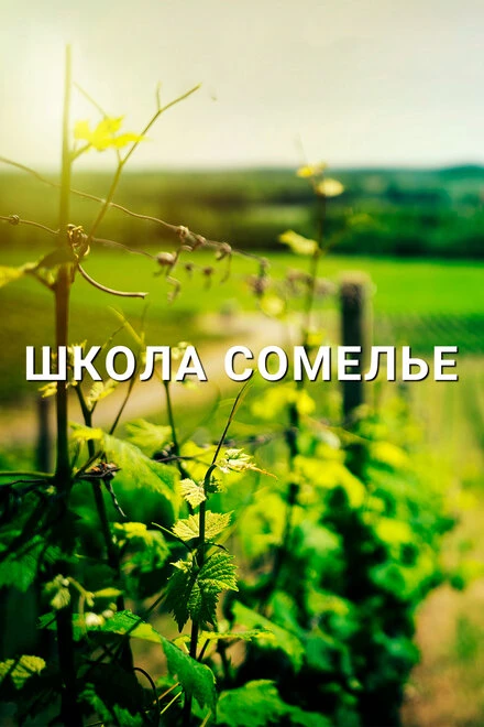Постер Школа сомелье 2016