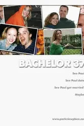 Bachelor 37 постер