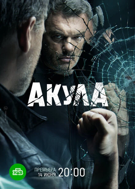Постер Акула 2021