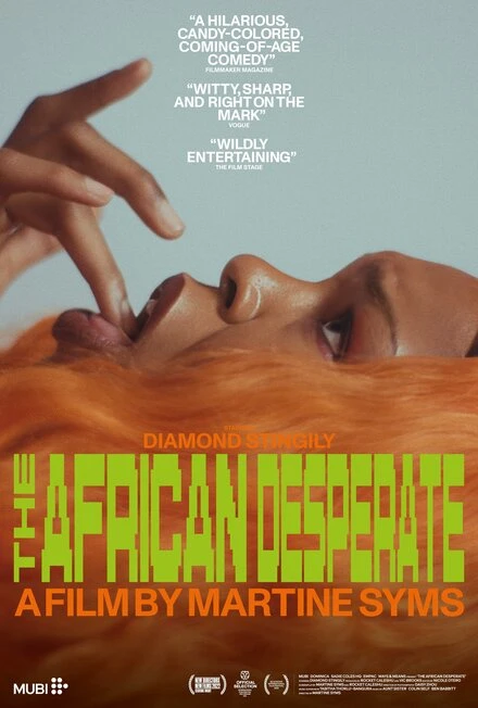 Постер The African Desperate