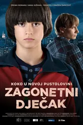 Таинственный мальчик 2013 постер
